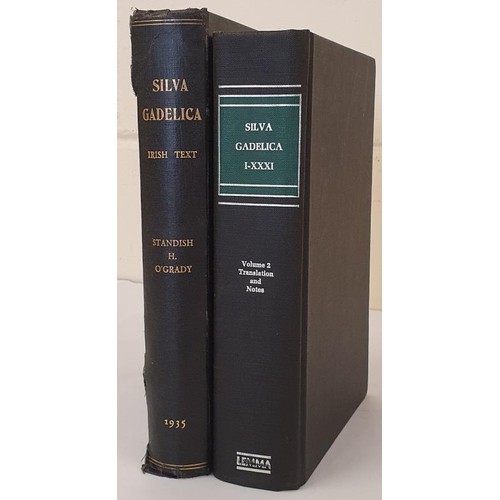 562 - Silva Gadelica (I-XXXI) A Collection of Tales in Irish translated by Standish H O'Grady, 1892; Silva... 