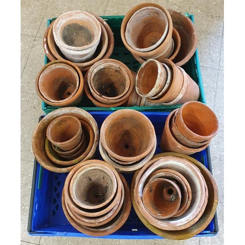 439 - A Large Collection Of Vintage Terracotta Flower Pots, various sizes c.43 in all