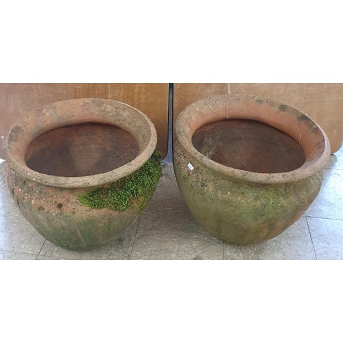 450 - Pair of Large and Impressive 20th Century Terracotta Planters, c.18in diameter and 16in tall