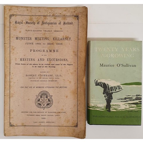 204 - RSAI Programme of meetings and Excursions, June 1906 to Killarney, text. Ills,diagrams and maps. O'S... 