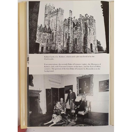 205 - Michael Estorick. Heirs and Graces. The Clain to the Dukedom of Leinster. 1981. 1st. Illustrated. Mi... 