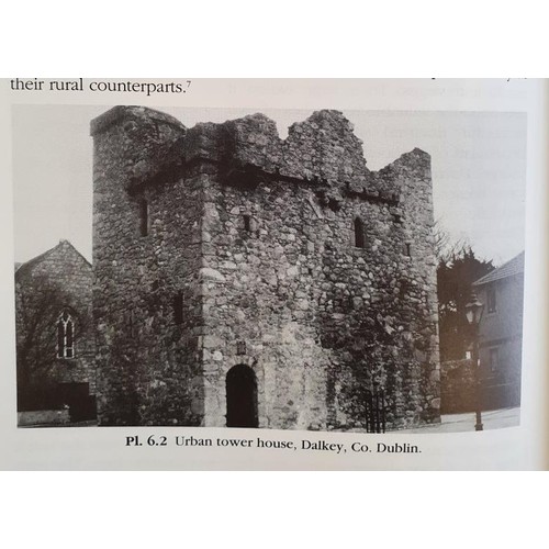 129 - Surveying Ireland’s Past. Multidisciplinary Essays. Howard Clarke, Prunty and Hennessy. Geogra... 