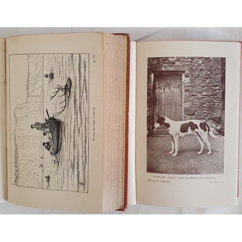 449 - Foxes, Foxhounds and Fox-Hounds, Richard Clapham, no date, Heath Cranton Ltd., hardback in excellent... 