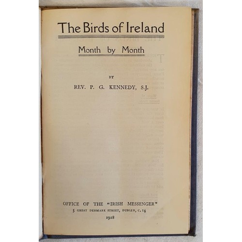 517 - 7 pamphlets on Irish Subjects such as; The Hills of Holy Ireland by Ardrigh; The Historians of Irela... 