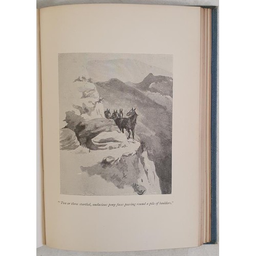 122 - Somerville & Ross. Beggars on Horseback. 1895. 1st. Illustrated by E.OE. Somerville. Original bl... 