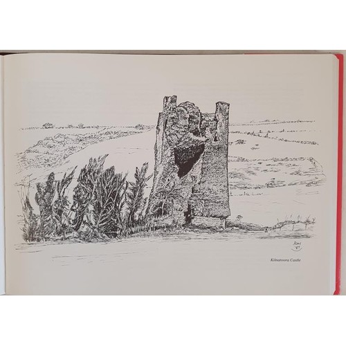 428 - The Castles of County Cork with 72 line drawings and 10 maps by James Healy. Cork. 1988. Large forma... 