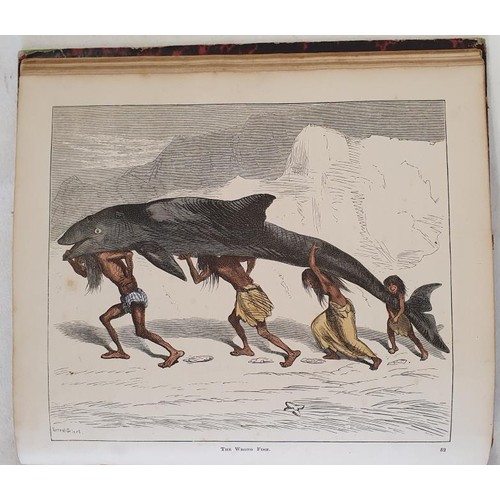 468 - James Greenwood. Legends of Savage Life. c.1870. Quarto with 36 fine hand-coloured plates. Original ... 