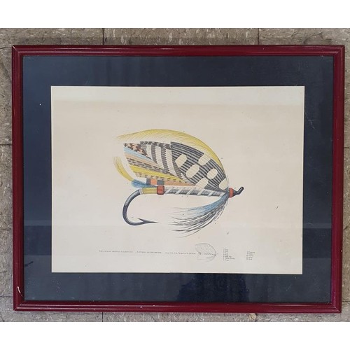 258 - The English Dressed Salmon Fly, Pattern Silver Doctor, hand coloured and framed print. Mattheu Zuric... 