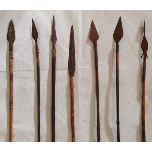 267 - 7 Arrows in a Leather Quiver