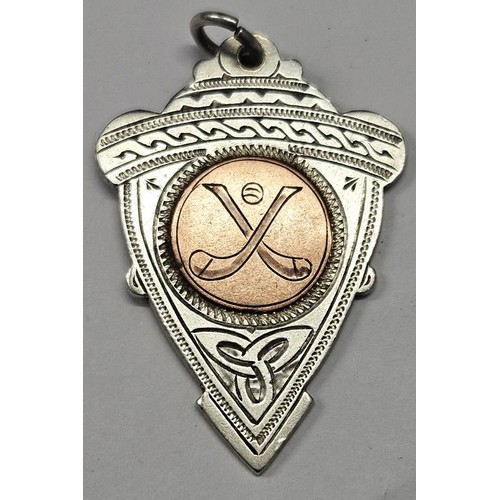 288 - 1959 South Tipperary Senior Hurling Championship Winning Medal awarded to Carrick 