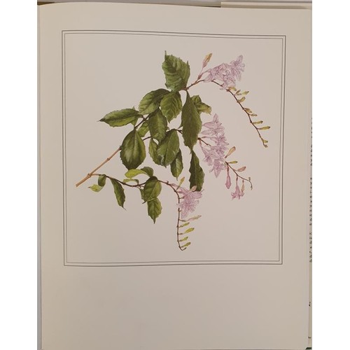 71 - Wendy Walsh and Charles Nelson. An Irish Florilegium Vol. II. 1987. 1st. Folio. With 48 colour plate... 