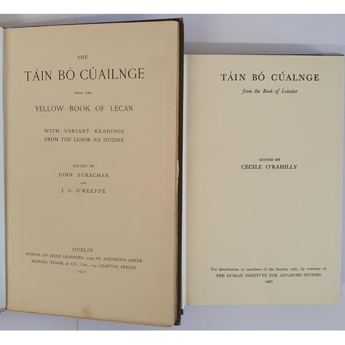 302 - The Táin Bó Cúailnge from the Yellow Book of Lecan with variant readings from t... 