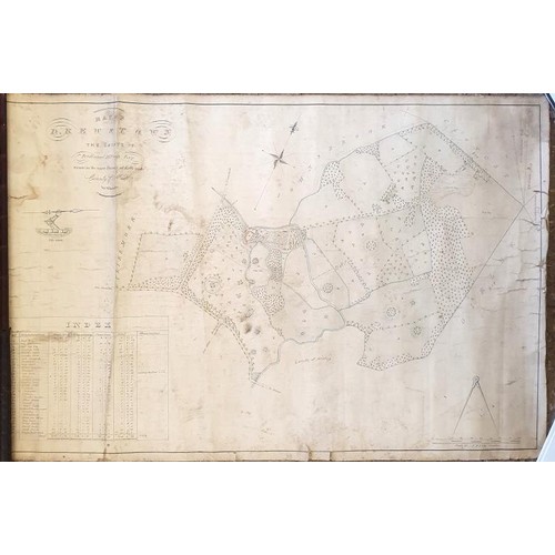 424 - Map of Drewstown Showing the Estate of Ferdinard McVeagh Esq. Situated in the Upper Batony of Kells ... 