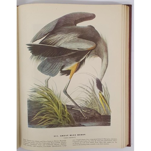 474 - John James Audubon. The Birds of America. New York. 1946. Quarto. With 435 fine colour bird plates. ... 