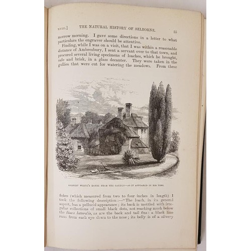 74 - Gilbert White. Natural History & Antiquities of Selborne. 1880. Illustrated; and Thomas Faulkner... 