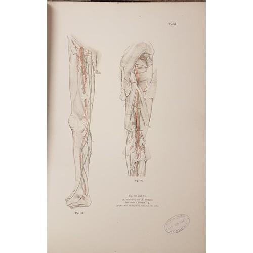 215 - Anatomie der Japaner II Das Venensystem der Japaner, 1933, Kyoto vol 1-4, Das Arteriensystem der Jap... 