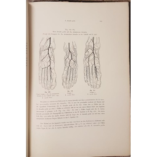 215 - Anatomie der Japaner II Das Venensystem der Japaner, 1933, Kyoto vol 1-4, Das Arteriensystem der Jap... 