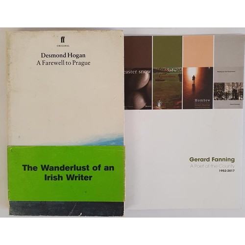 136 - Desmond Hogan; A Farewell to Prague, first edition, first print French flaps, Faber 1995. Gerald Daw... 