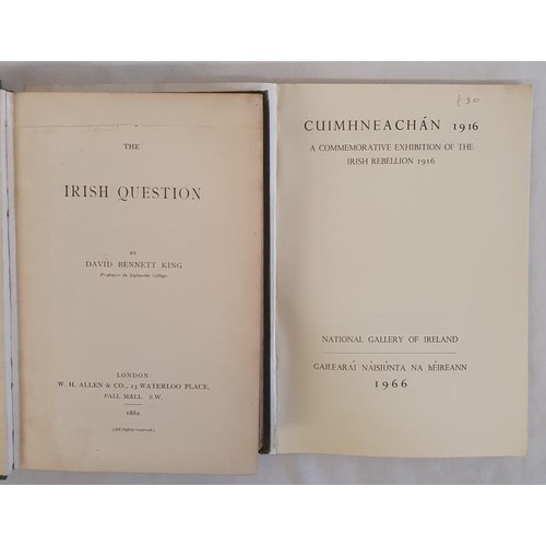 170 - David B. King. The Irish Question. 1882. 1st. and Exhibition catalogue 