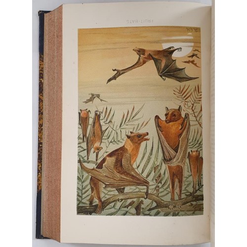 315 - The Royal Natural History (Six volume set comprising I Mammals II Mammals III Mammals & Birds IV... 