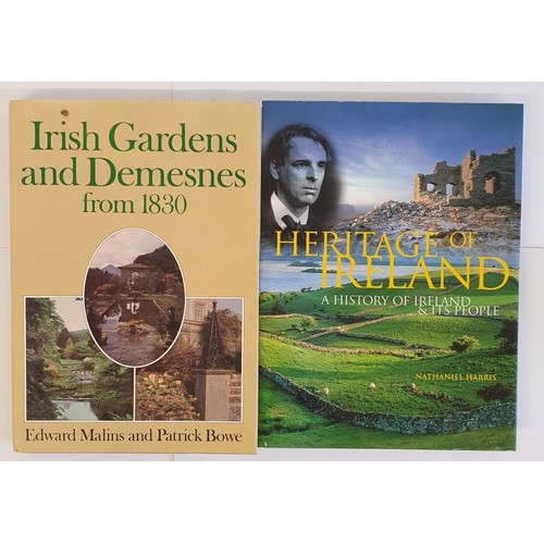 384 - Edward Malins and Patrick Bowe  Irish Gardens and Demesnes from 1830. Folio. Illustrated; ... 