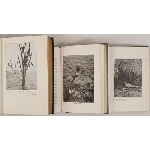 476 - Photography of Wildlife] Kearton, R. & C. With Nature & a Camera. Adventures & Observati... 