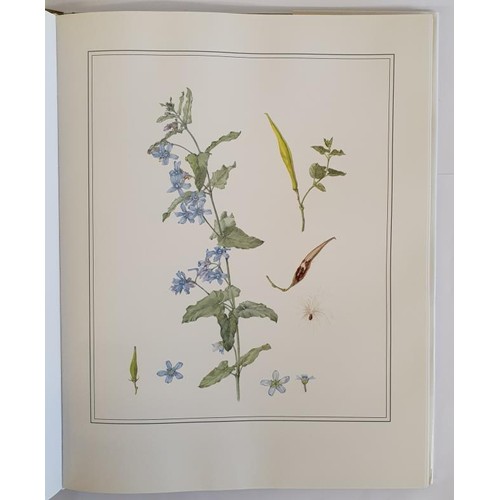 150 - An Irish Florilegium II Wild and Garden Plants of Ireland – 48 Watercolour Paintings by Wendy ... 