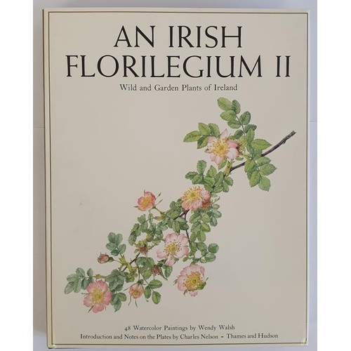 150 - An Irish Florilegium II Wild and Garden Plants of Ireland – 48 Watercolour Paintings by Wendy ... 