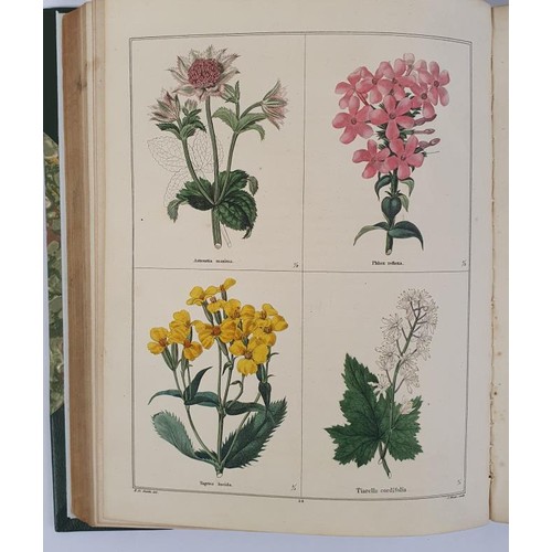 157 - B. Maund. The Botanic Garden. 1827/28. With 36 hand coloured plates illustrating 144 ornamental flow... 