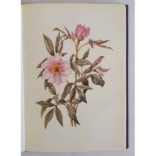 160 - Charles Nelson/Wendy Walsh: An Irish Flower Garden by E Charles Nelson SIGNED with 23 plates by Wend... 