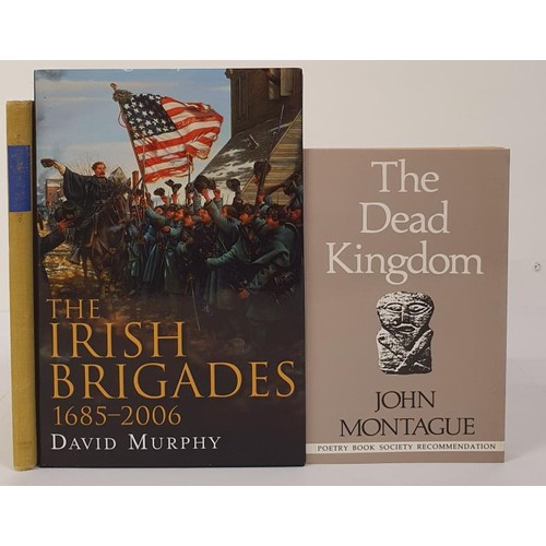 168 - The Irish Brigades, 1685-2006, David Murphy, Four Court Press, First Edition, 2007 with Dust Jacket ... 