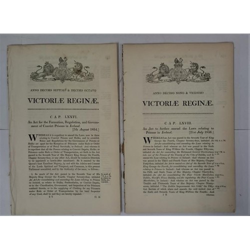 398 - Prisons in Ireland] An Act for the Formation, Regulation & Government of Convict Prisons in Irel... 