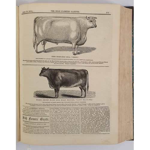 455 - The Irish Farmer’s Gazette and Journal of Practical Horticulture. Dublin, Printed and Publishe... 