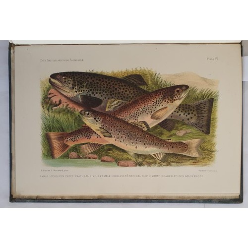 471 - Francis Day. British and Irish Salmonidae. 1887.1st. 12 plates of which 9 are finely coloured