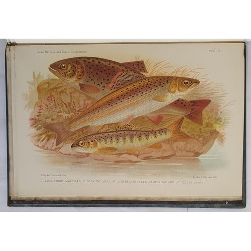 471 - Francis Day. British and Irish Salmonidae. 1887.1st. 12 plates of which 9 are finely coloured