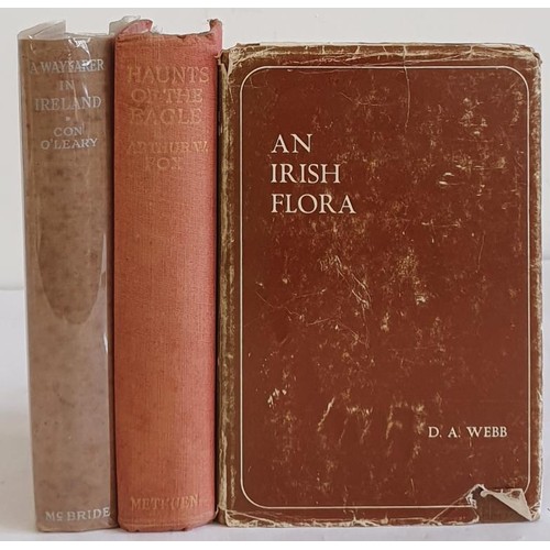 174 - Payne-Gallwey, The Fowler in Ireland, London, 1882. Facsimile published, 1971, Richmond Publishing C... 