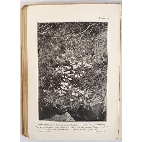 84 - A Tourist's Flora of the West of Ireland by Robert Lloyd.Prager. Hodges & Figgis. 1909. 1st. Num... 