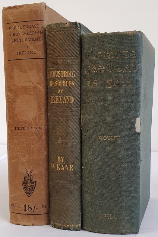 irish-interest-irish-names-and-surnamesby-rev-patrick-woulfe-1923