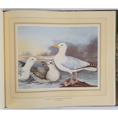 360 - Birds of Ireland, Paintings by Richard Dunscombe Parker (circa 1805 – 81). Oblong folio, beautiful b... 