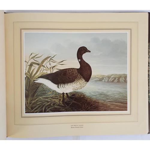 360 - Birds of Ireland, Paintings by Richard Dunscombe Parker (circa 1805 – 81). Oblong folio, beautiful b... 