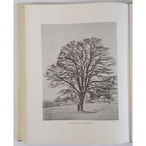 363 - Elwes and Henry, The Trees of GB and Ireland, 3 vols, vols: 111, IV, VII and index. Facs of original... 