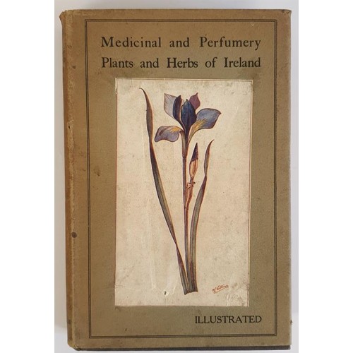 367 - Medicinal and Perfumery Plants and Herbs of Ireland a possible Great Natural Irish Industry suitable... 