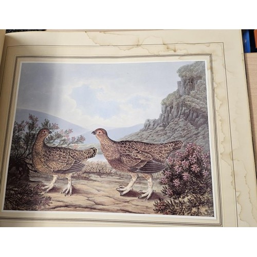 360 - Birds of Ireland, Paintings by Richard Dunscombe Parker (circa 1805 – 81). Oblong folio, beautiful b... 