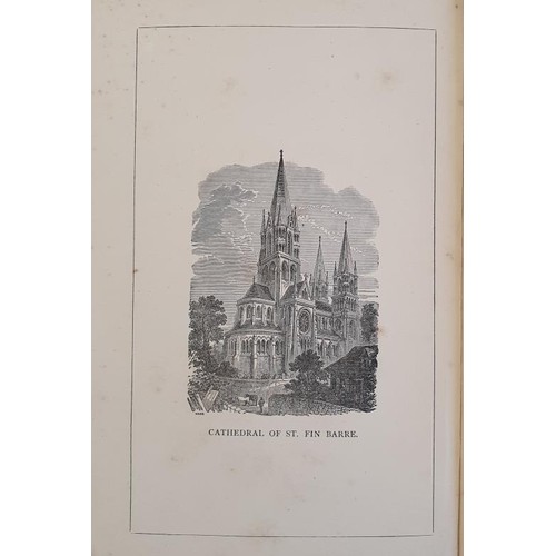 9 - Richard Caulfield. Handbook Of The Cathedral Church of St. Fin Barre, Cork: Purcell & Co., Publi... 