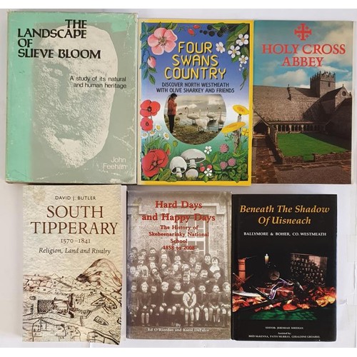 69 - Tipperary/WestMeath Interest: South Tipperary 1570-1841, Religion,Land and Rivalry by David J Butler... 