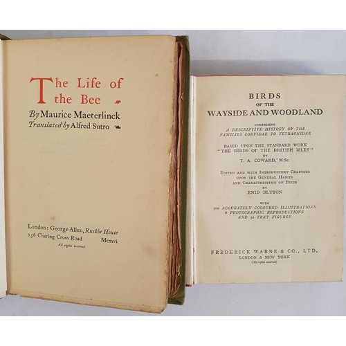 74 - The Life of the Bee Maeterlinck, Maurice; Sutro, Alfred (trans) Published by George Allen & Co, ... 