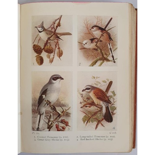 74 - The Life of the Bee Maeterlinck, Maurice; Sutro, Alfred (trans) Published by George Allen & Co, ... 