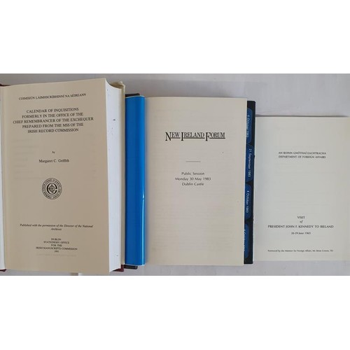 110 - Irish Interest: New Ireland Proceedings Vol 2, from proceedings in Dublin Castle, 1983; Calendar of ... 