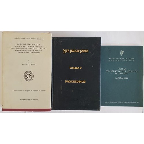 110 - Irish Interest: New Ireland Proceedings Vol 2, from proceedings in Dublin Castle, 1983; Calendar of ... 