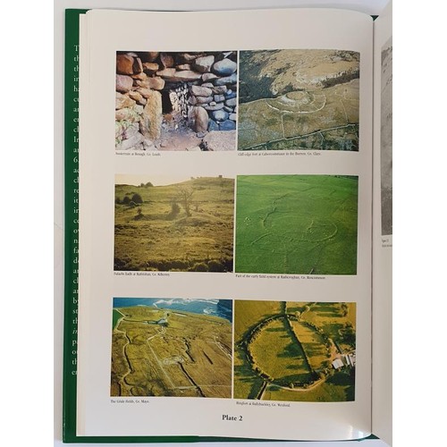 227 - John Feehan, Farming in Ireland, folio 2003, dj, mint copy of one of the great books if not the grea... 